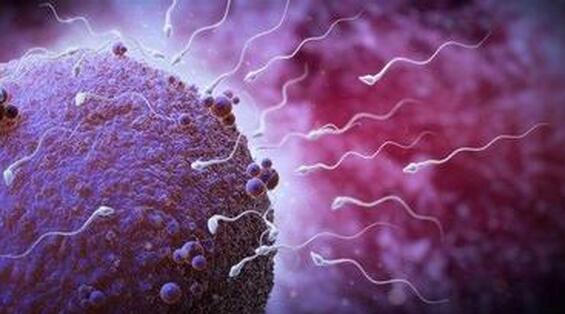 精液不液化的症状表现有哪些?