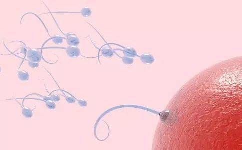 盘点治疗无精子症的方法