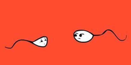 无精症有哪些形成原因