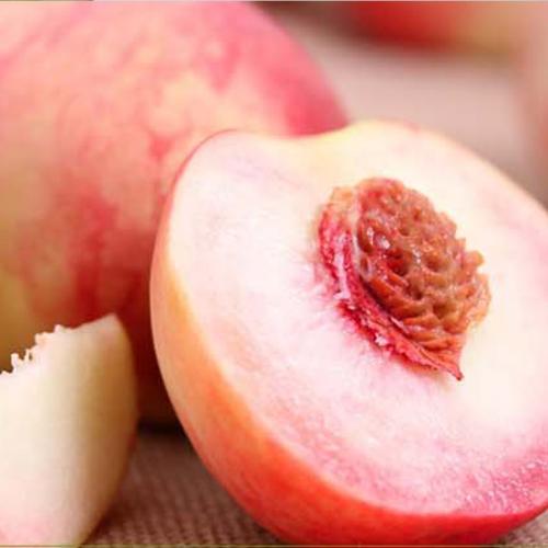 血精的治疗方法有哪些