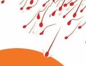 血精与男性不育有何关系